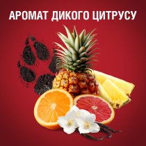 Гель для душа 3-в-1 Old Spice Wolfthorn 1000 мл