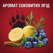 Гель для душа 3-в-1 Old Spice Bearglove 1000 мл
