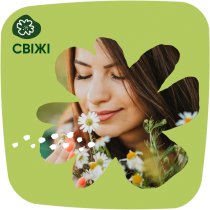 Щоденні прокладки Naturella Normal Camomile 74 шт