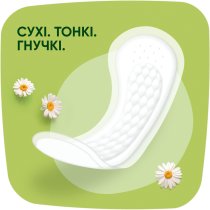 Ежедневные прокладки Naturella Normal Camomile 44 шт