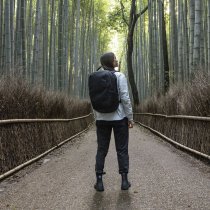 Рюкзак Thule Subterra 2 Backpack 27L TSLB-417 Black