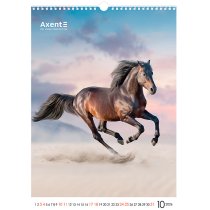 Календарь настольный А3 2026 р., Horses
