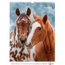 Календарь настольный А3 2026 р., Horses