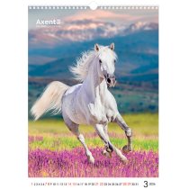 Календарь настольный А3 2026 р., Horses
