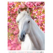 Календарь настольный А3 2026 р., Horses