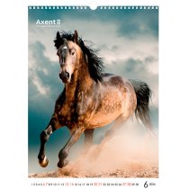 Календарь настольный А3 2026 р., Horses