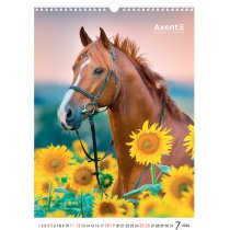 Календарь настольный А3 2026 р., Horses