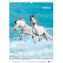 Календарь настольный А3 2026 р., Horses