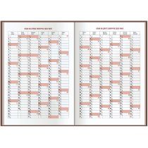 Ежедневник датированный 2026, BASIC, зеленый, А5