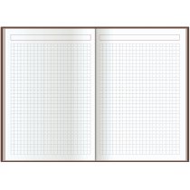 Ежедневник датированный 2026, SQUARE, фисташковый, А5, без поролона