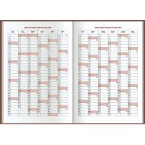 Ежедневник датированный 2026, BASIC, зеленый, А5