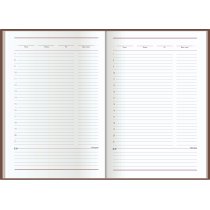 Ежедневник недатированный, ECONOMIX  А5