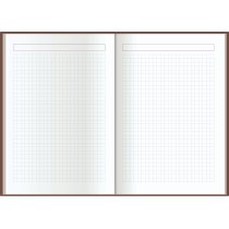 Ежедневник недатированный, ECONOMIX  А5