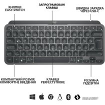 Клавиатура Logitech MX Keys Mini Minimalist Wireless, US, Graphite (920-010498)
