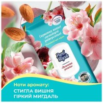 Серветки вологі господарчі Pani Blysk  універсальні з клапаном, вишнева розкіш, 48шт