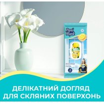 Cерветки господарчі Pani Blysk вологі для скла з клапаном, 36 шт