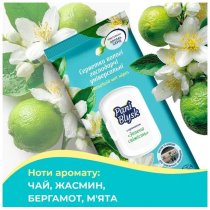 Серветки вологі господарчі Pani Blysk універсальні з клапаном,зелена свіжість, 48шт